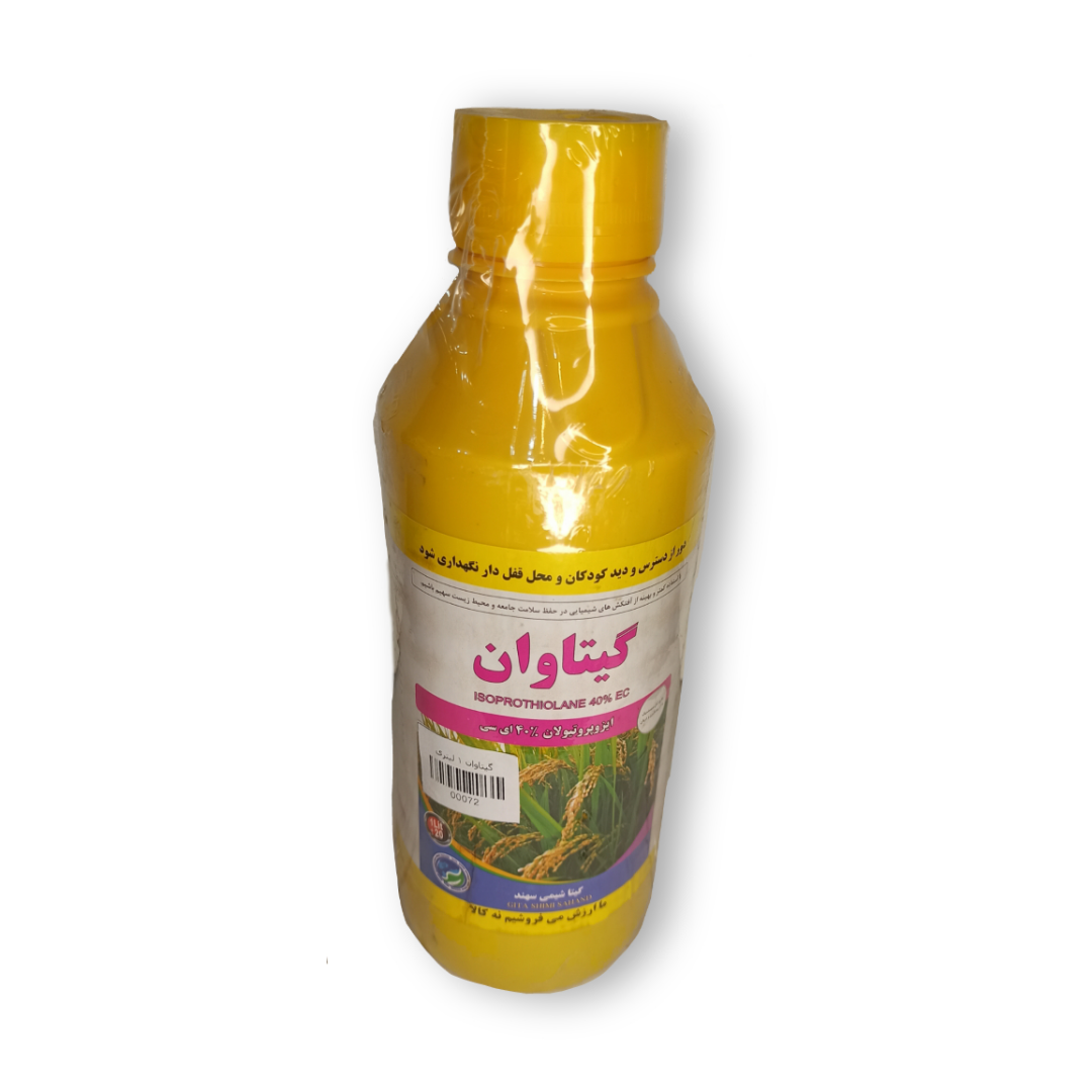 Negar_1733727527961